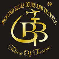 beyondbluestours.com
